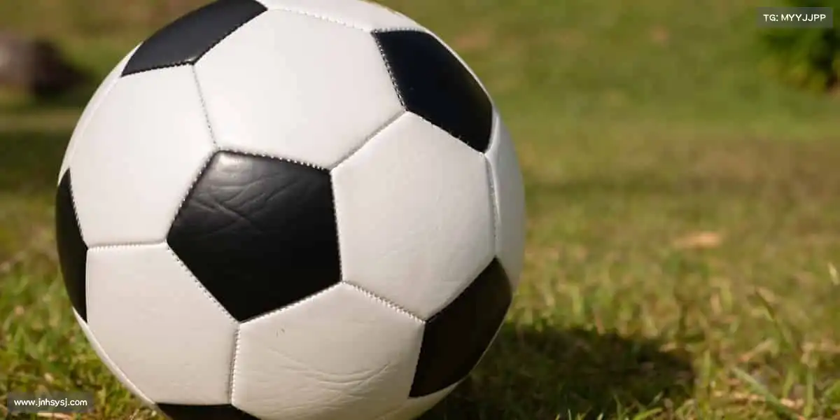 行业领先的理由